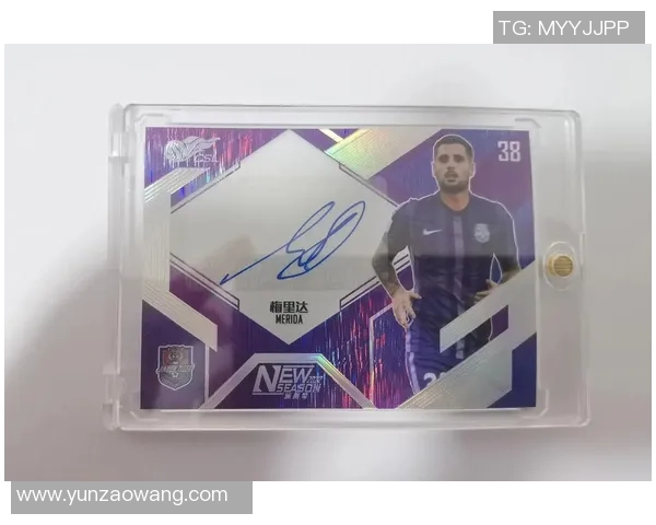 足球星卡投资与收藏性价比深度解析助你玩转球星卡市场 足球星卡投资与收藏性价比深度解析助你玩转球星卡市场